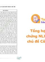 Tổng hợp các dẫn chứng NLXH mới theo chủ đề Cô Sương Mai